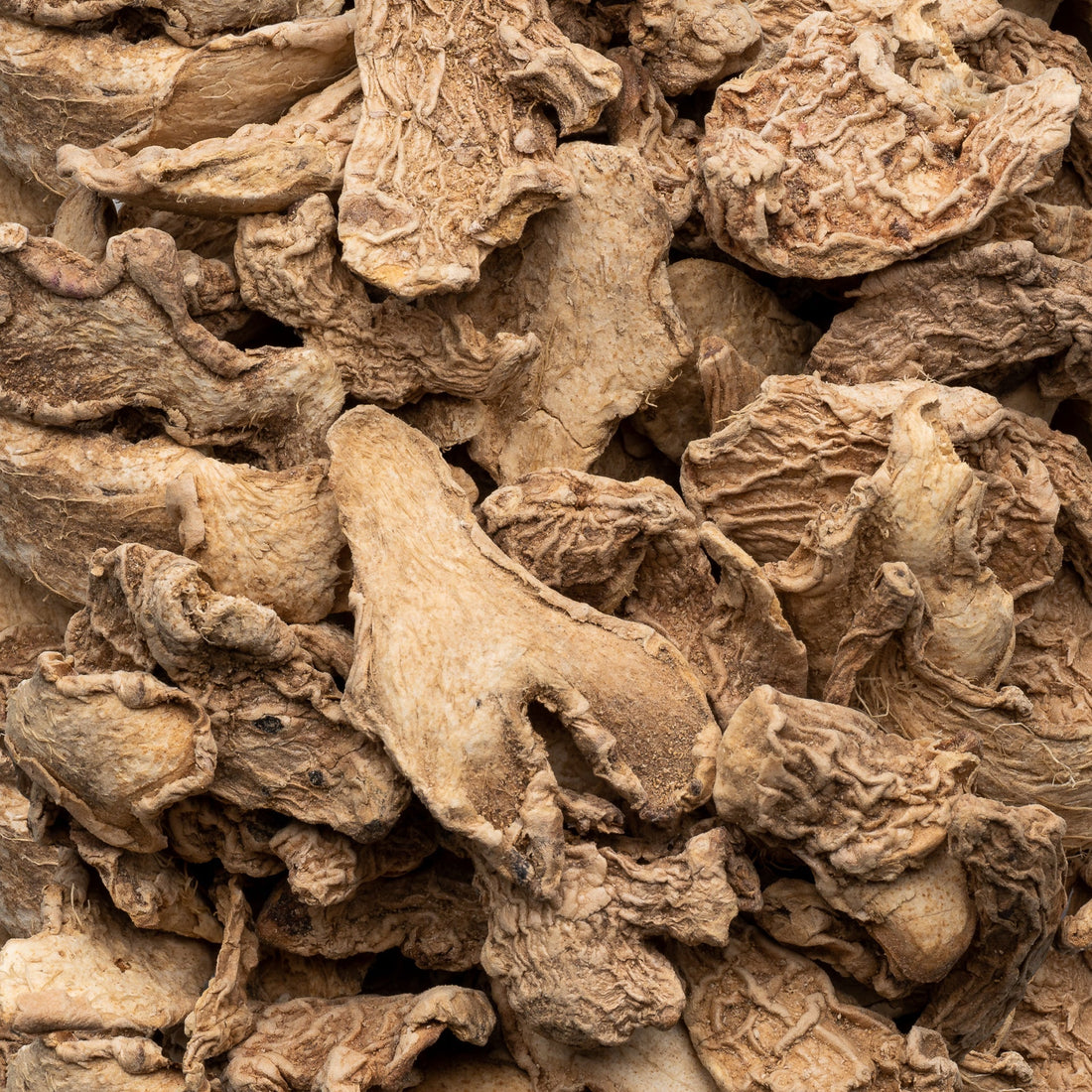 Ginger