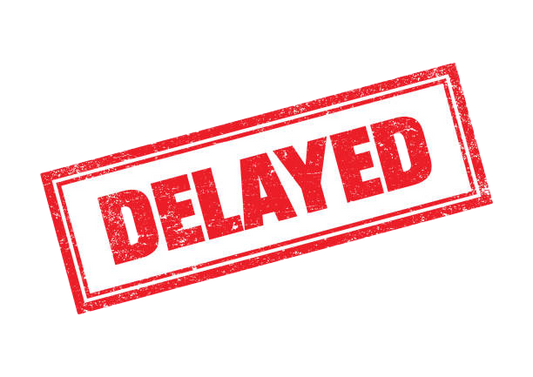 Ever wonder why there are occasional delays in your order?