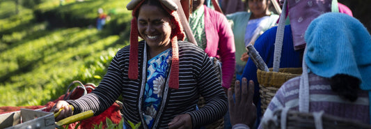 Proud to Be a Certified B Corporation