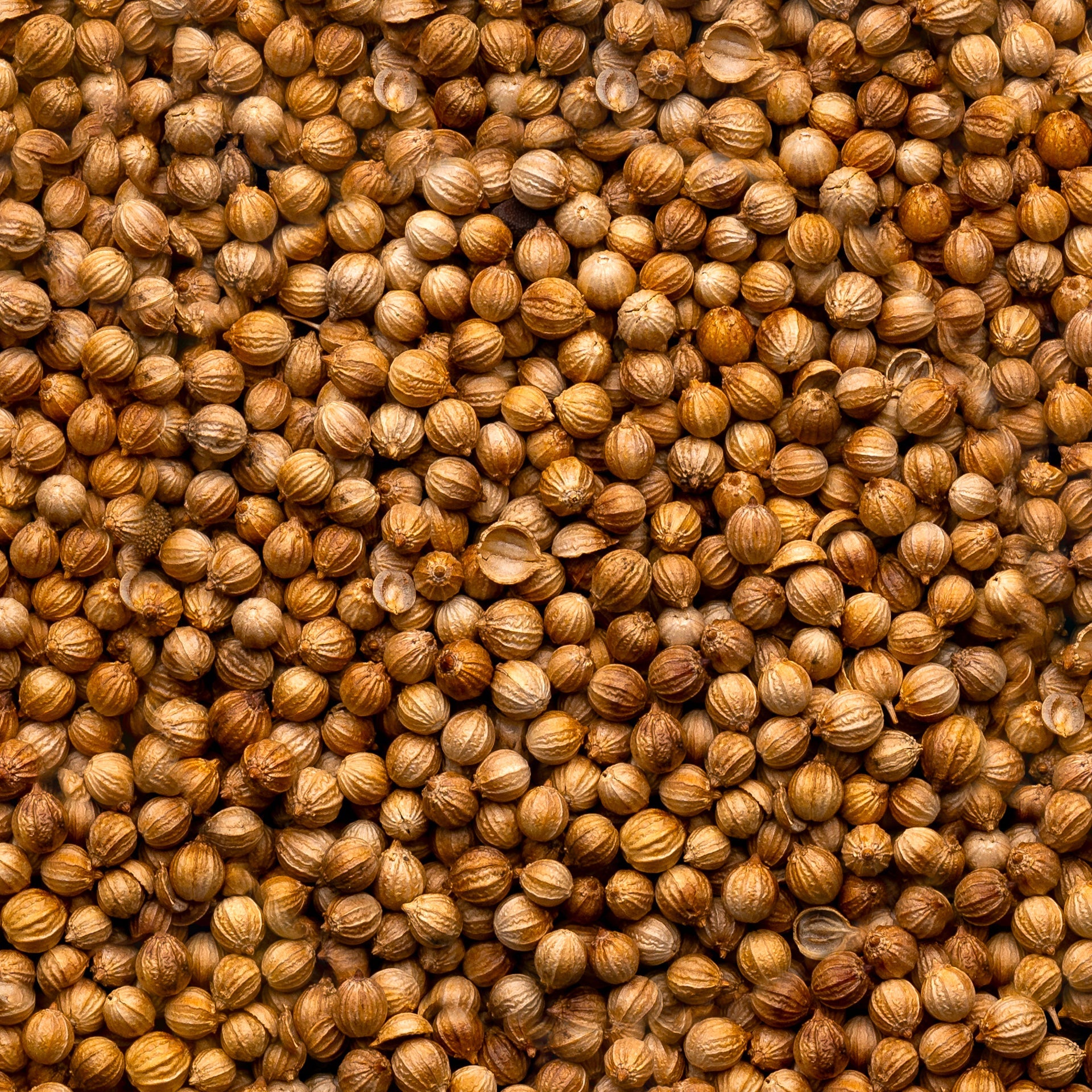 Organic Seeds