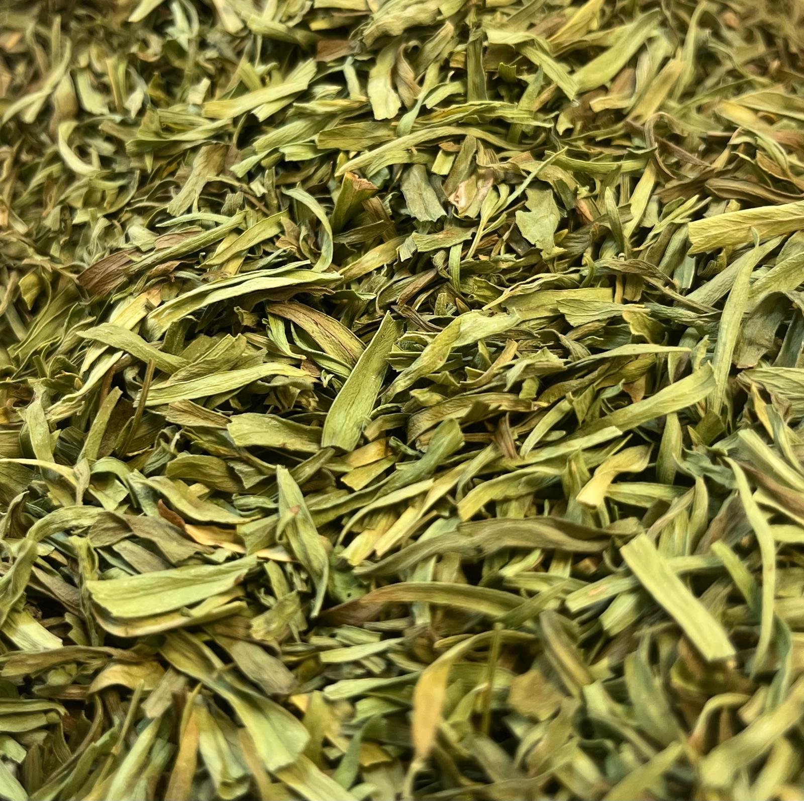 Organic Culinary Herbs